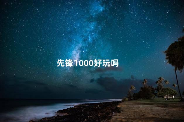 先锋1000好玩吗