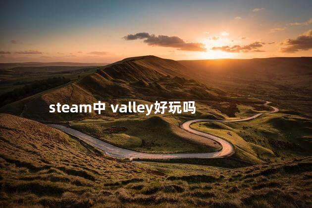 steam中 valley好玩吗