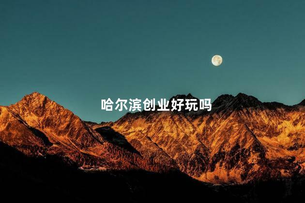 哈尔滨创业好玩吗