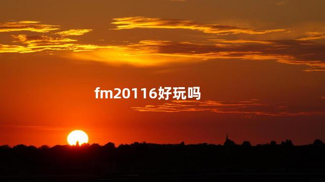 fm20116好玩吗