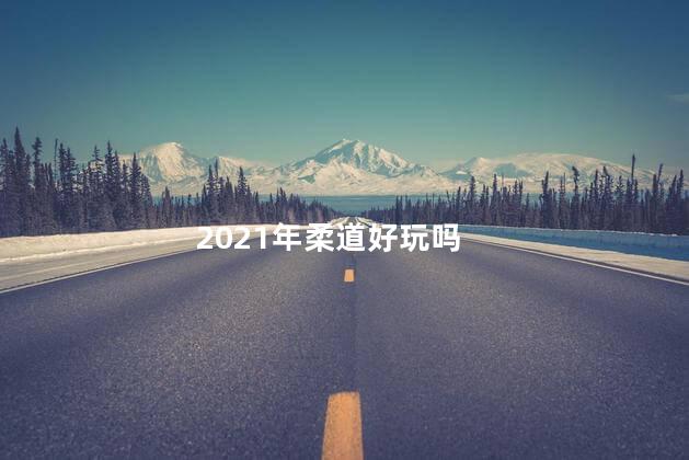 2021年柔道好玩吗