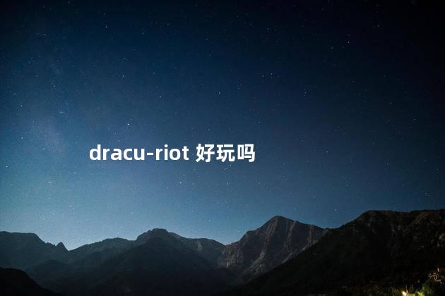 dracu-riot 好玩吗