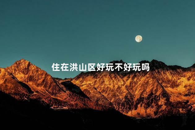 住在洪山区好玩不好玩吗