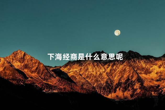 下海经商是什么意思呢