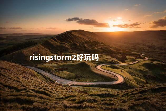 risingstorm2好玩吗