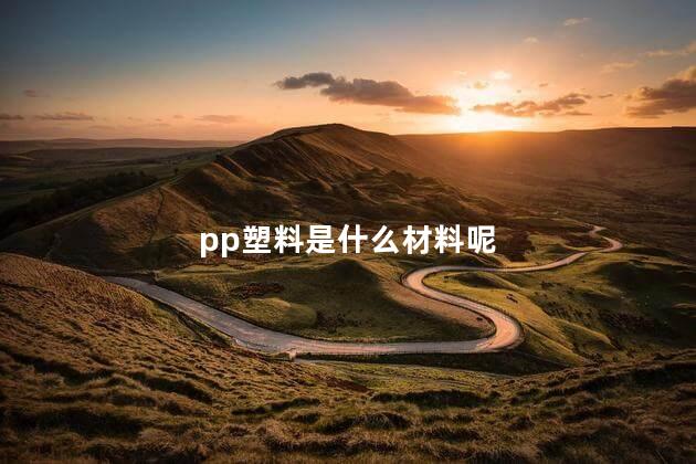 pp塑料是什么材料呢