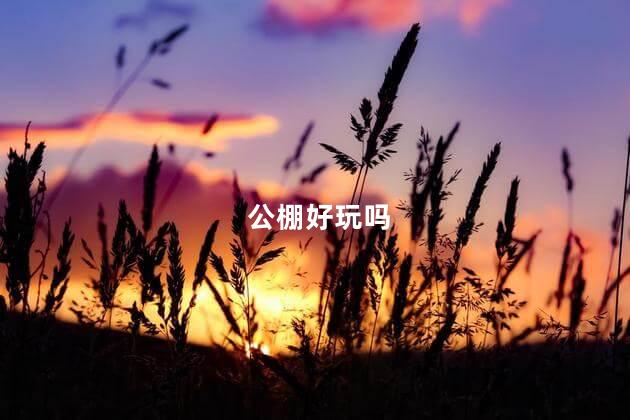 公棚好玩吗