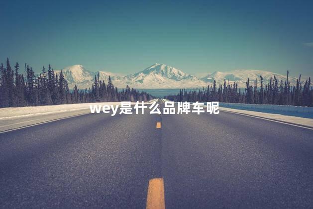 wey是什么品牌车呢