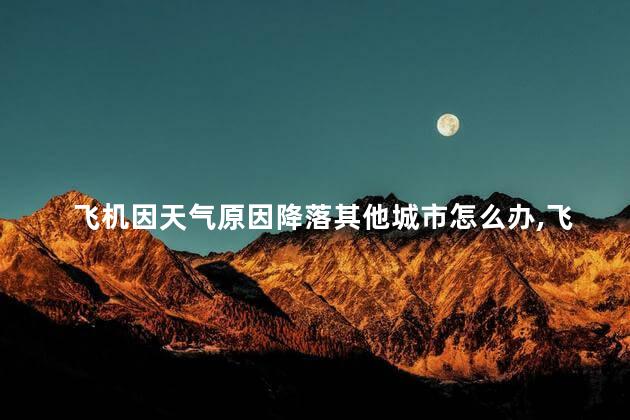 飞机因天气原因降落其他城市怎么办，飞机因天气原因可以降落其他城市吗